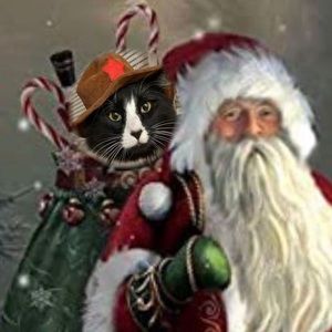 Meet your Posher, Melody